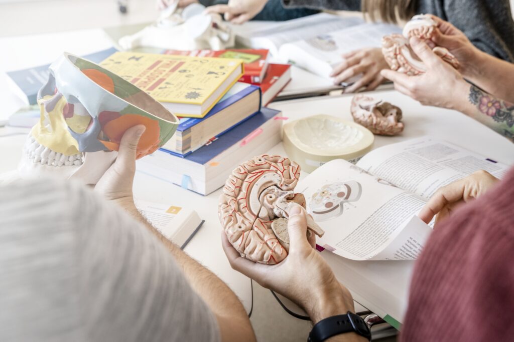 Ausbildung – Geschäftsbericht LKH 2024 Ausbildung – Geschäftsbericht LKH 2024
