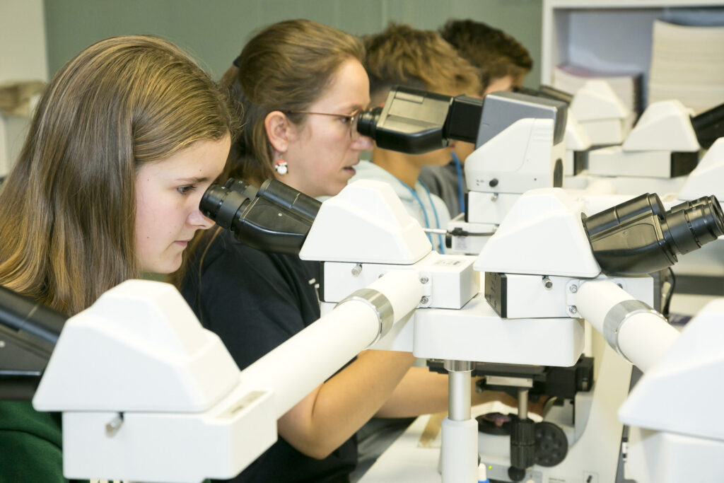 Infotage der Gesundheitsprofis – LKH Geschäftsbericht 2024