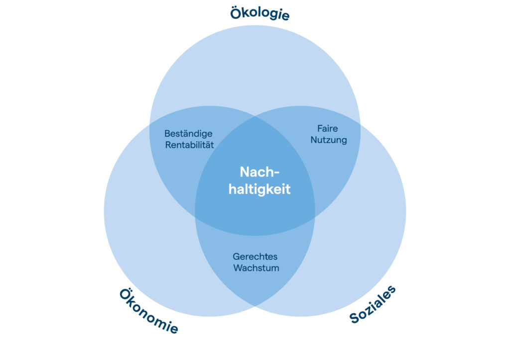 Die drei Felder der Nachhaltigkeit – LKH Geschäftsbericht 2024 Die drei Felder der Nachhaltigkeit – LKH Geschäftsbericht 2024
